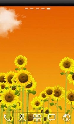 Sunflowers Android Wallpaper Image 2