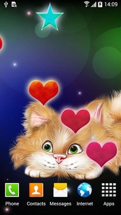 Funny Cat Android Wallpaper Image 1