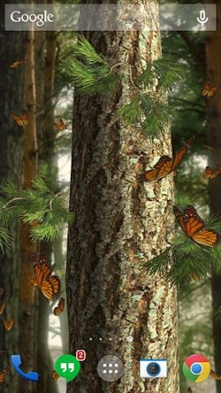 Butterflies 3D Android Wallpaper Image 1