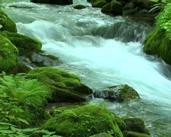 River Flow Android Wallpaper Image 1