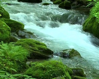 River Flow Android Wallpaper Image 2