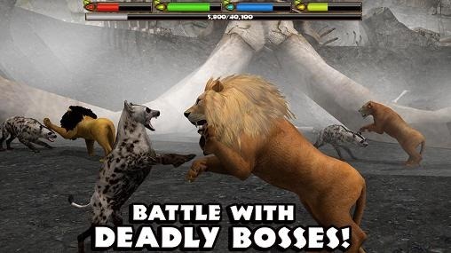 Ultimate Lion Simulator Android Game Image 2
