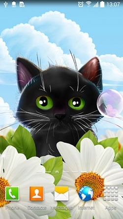 Cute Kitten Android Wallpaper Image 1