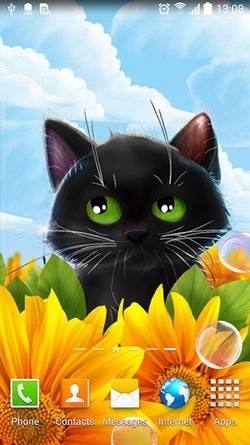 Cute Kitten Android Wallpaper Image 2