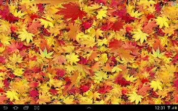 Autumn Leaves 3D Android Wallpaper Image 1