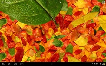 Autumn Leaves 3D Android Wallpaper Image 2