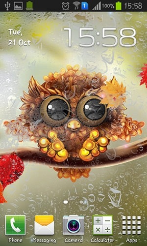 Autumn Little Owl Android Wallpaper Image 1