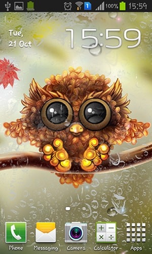Autumn Little Owl Android Wallpaper Image 2