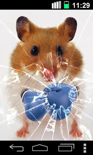 Funny Hamster: Cracked Screen Android Wallpaper Image 1