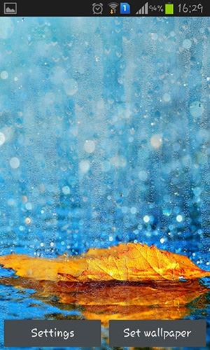 Rainy Autumn Android Wallpaper Image 1