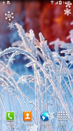 Frozen Flowers Android Wallpaper Image 1