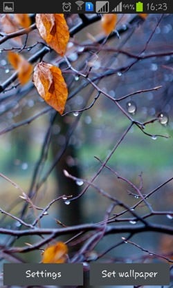 Autumn Raindrops Android Wallpaper Image 2