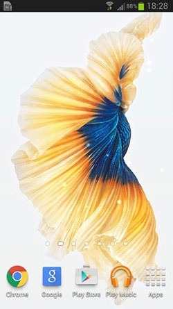 Betta Fish Android Wallpaper Image 1
