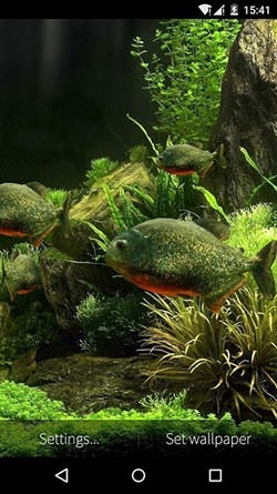 Fish Aquarium 3D Android Wallpaper Image 1