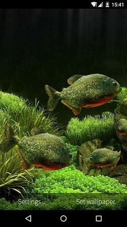 Fish Aquarium 3D Android Wallpaper Image 2