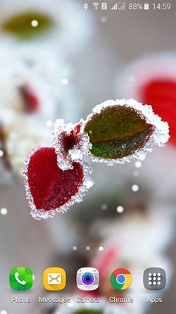 Frozen Beauty: Winter Tale Android Wallpaper Image 1