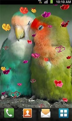 Love: Birds Android Wallpaper Image 2