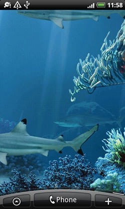 Shark Reef Android Wallpaper Image 1