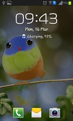 Cute Bird Android Wallpaper Image 2