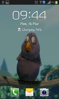 Funny Bird Android Wallpaper Image 2