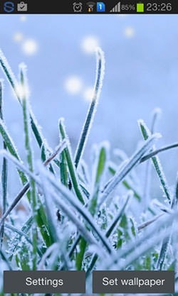Winter Grass Android Wallpaper Image 1
