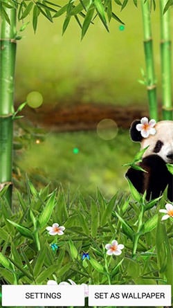 Funny Panda Android Wallpaper Image 1