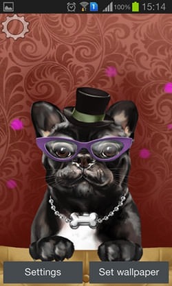 French Bulldog Android Wallpaper Image 1