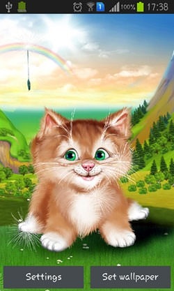 Kitten Android Wallpaper Image 1