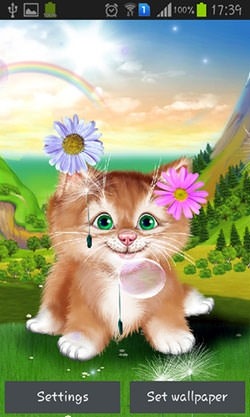Kitten Android Wallpaper Image 2