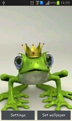 Royal Frog Android Wallpaper Image 1