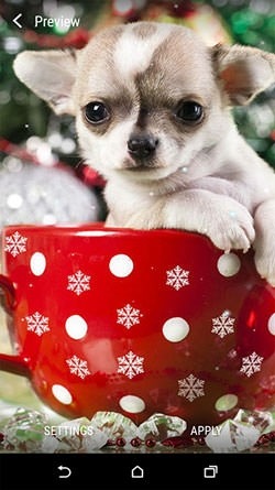 Christmas Animals Android Wallpaper Image 1