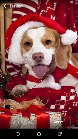 Christmas Animals Android Wallpaper Image 2