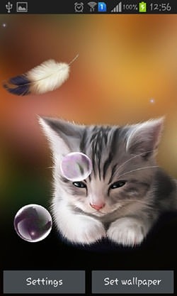 Sleepy Kitten Android Wallpaper Image 1