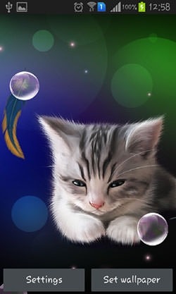 Sleepy Kitten Android Wallpaper Image 2