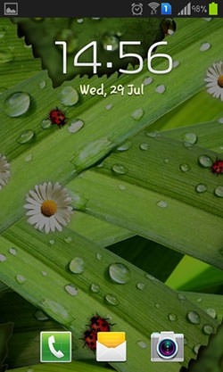 Camomiles And Ladybugs Android Wallpaper Image 2