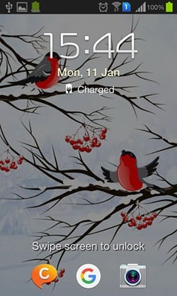 Winter: Bullfinch Android Wallpaper Image 2