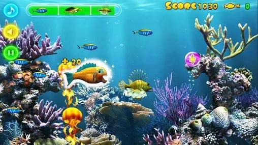 Shark Fever Android Game Image 2