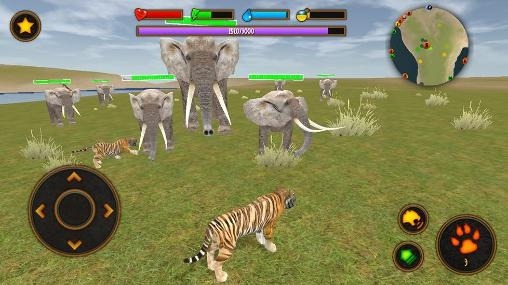 Clan Of Tigers Android Game Image 1