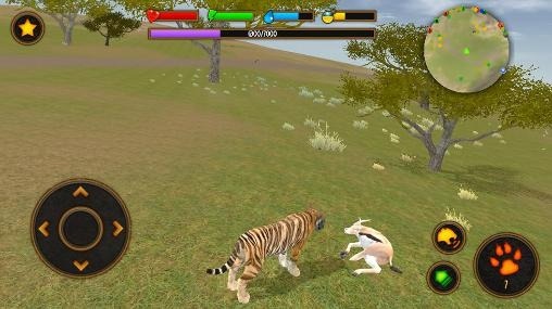 Clan Of Tigers Android Game Image 2