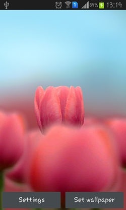 Tulip 3D Android Wallpaper Image 2