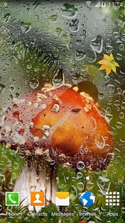 Autumn Mushrooms Android Wallpaper Image 1