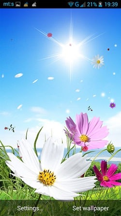 Spring Android Wallpaper Image 1