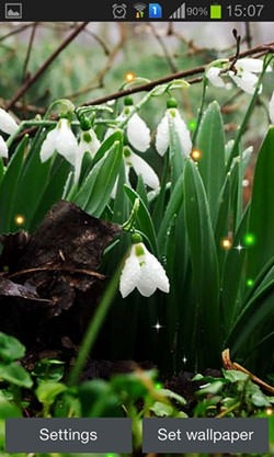 Spring Snowdrop Android Wallpaper Image 1