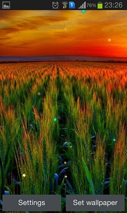 Sunset Spring Android Wallpaper Image 1