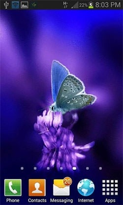Cute Butterfly Android Wallpaper Image 1