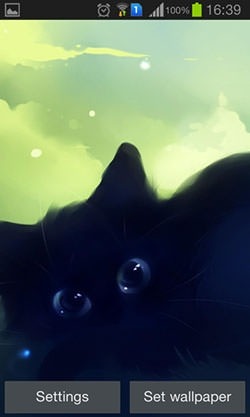 Lonely Black Kitty Android Wallpaper Image 2