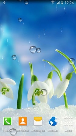 Spring Flowers Android Wallpaper Image 1