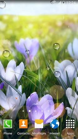 Spring Flowers Android Wallpaper Image 2