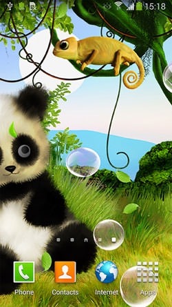 Download Free Android Wallpaper  Panda  3504 MobileSMSPK net