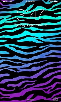 Zebra Android Wallpaper Image 1